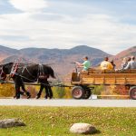 Carriage ride at Trapp Family Lodge