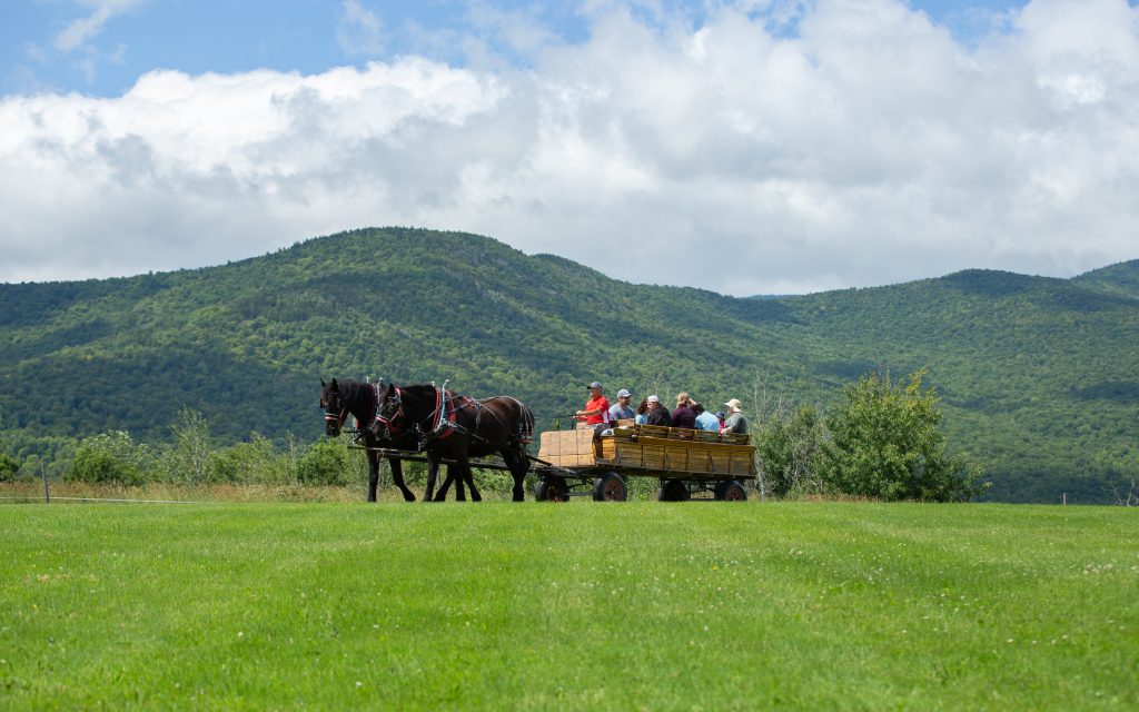 Carriage ride at Trapp Family Lodge
